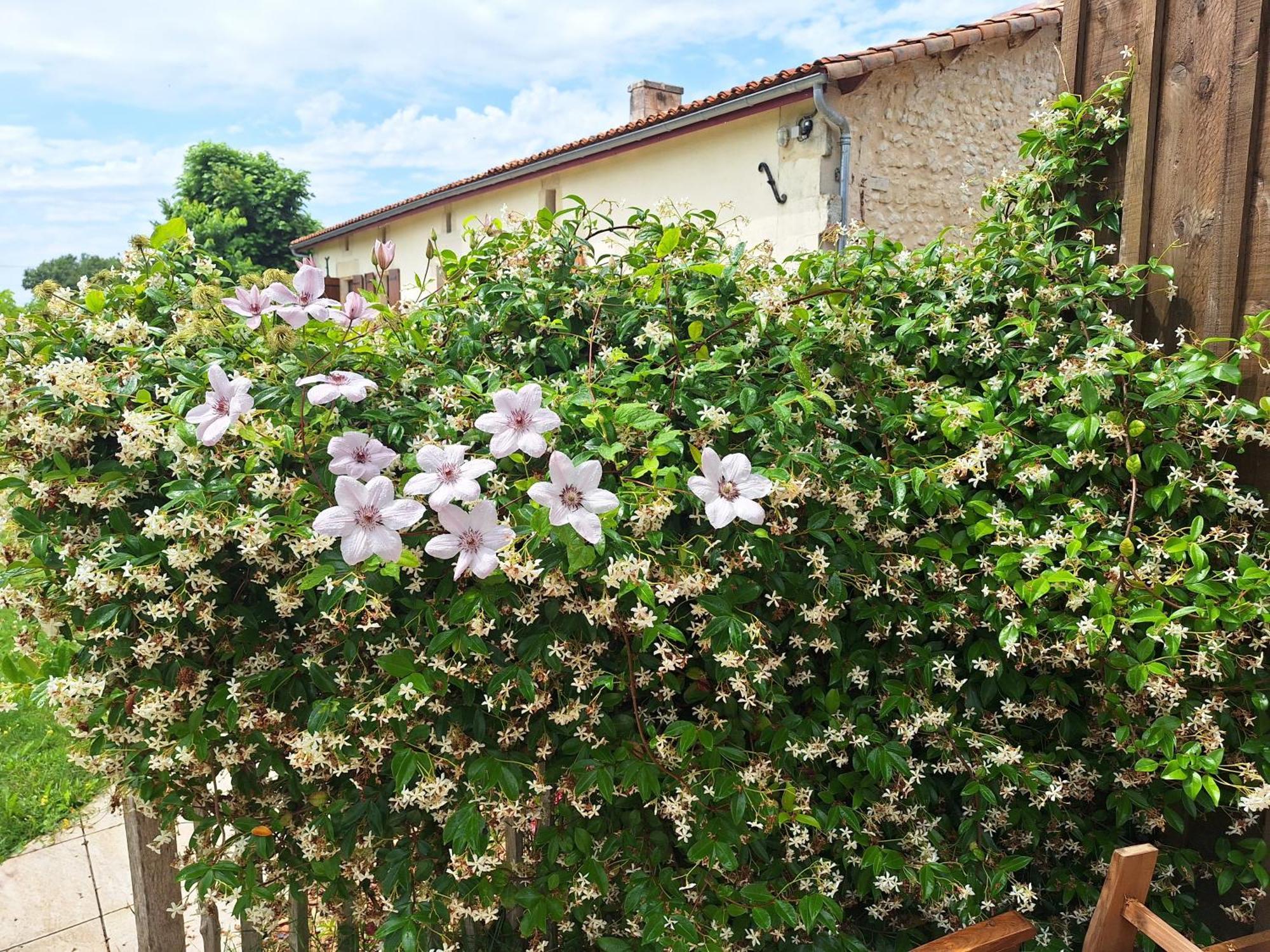 Gite Cosy Grand Confort Dans Un Ecrin De Verdure Agudelle Экстерьер фото