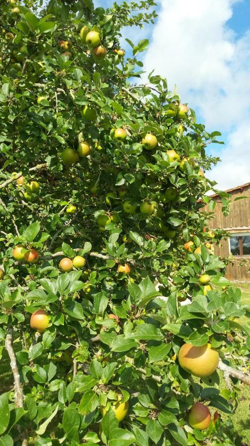 Gite Cosy Grand Confort Dans Un Ecrin De Verdure Agudelle Экстерьер фото